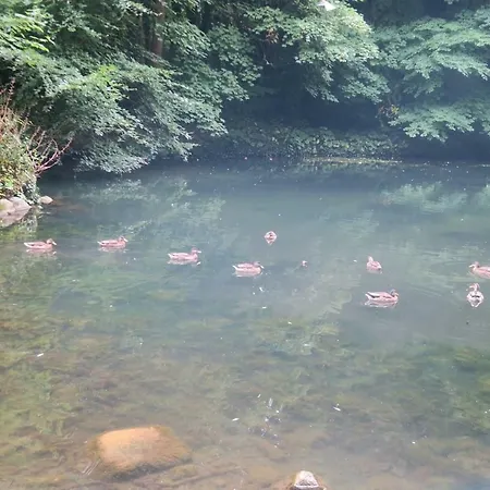 Inglewood - - Crossmolina - County Mayo - Sleeps 8 - Sister To Thistledown بيت للعطل