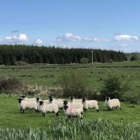 Inglewood - - Crossmolina - County Mayo - Sleeps 8 - Sister To Thistledown *