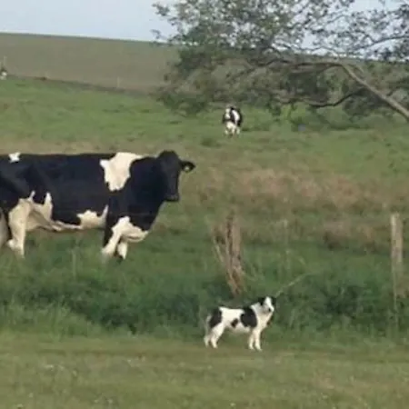 بيت للعطل Inglewood - - Crossmolina - County Mayo - Sleeps 8 - Sister To Thistledown *