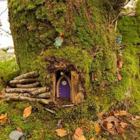 Inglewood - - Crossmolina - County Mayo - Sleeps 8 - Sister To Thistledown بيت للعطل *